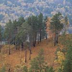 CAINION - Instagram Profile Picture of CAINION (@cainionmarr) on Instagram