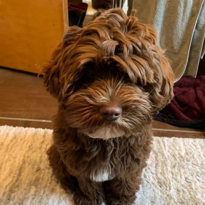 Profile Picture of Tracywillett (@tracyawillett) on Tiktok