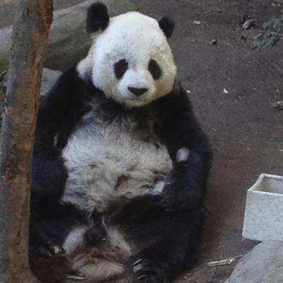 Profile Picture of Aaron L. Hern (@aaronlhern) on Twitter