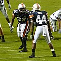 Profile Picture of Carl Stewart (American football)on Wikipedia