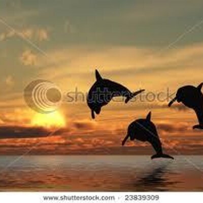 Profile Picture of Kelli Gillman (@KelliGillman) on Twitter