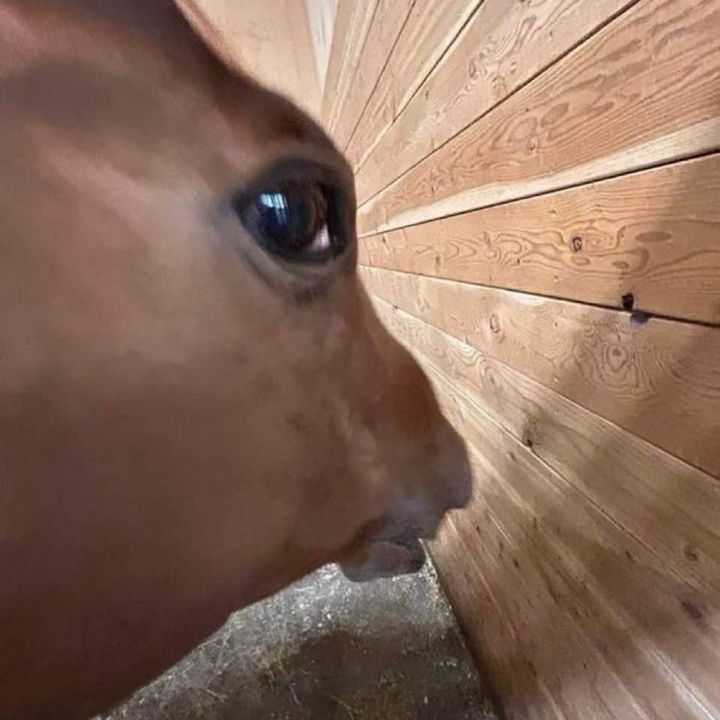 Profile Picture of O'Connell Cloud (@o'connellcloud) on Tiktok