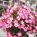 Profile Picture of Yolanda Cachón (@yolanda.cachon.3) on Facebook