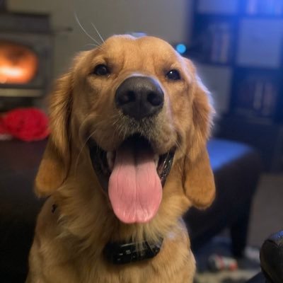 Profile Picture of Brent Summerlin (@brentsumm) on Twitter