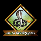 Nagdev Official  Ghughala - Youtube Profile Picture of Nagdev Official  Ghughala (@nagdevofficial211) on Youtube