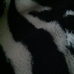Profile Picture of Avery Clarida (@averyeclarida) on Instagram