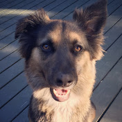 Profile Picture of Cody Loggins (@codyloggins4941) on Youtube