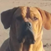 Profile Picture of Stephen Pritchard (@stephenpritchard8456) on Youtube