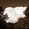 Profile Picture of david.houdek (@david.houdek) on Flickr
