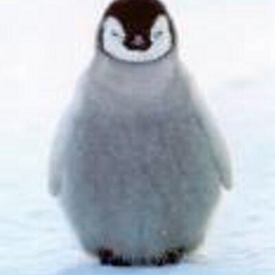 Profile Picture of Penny Cannon (@Penskii) on Twitter