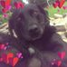 Profile Picture of Dawn Reddy (@dawn.reddy.7) on Facebook