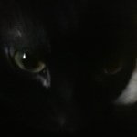 Profile Picture of Tracy Herndon Hendrix (@trayfresh1) on Instagram