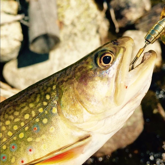 Profile Picture of Patrick Witschen (@hunting14) on Poshmark