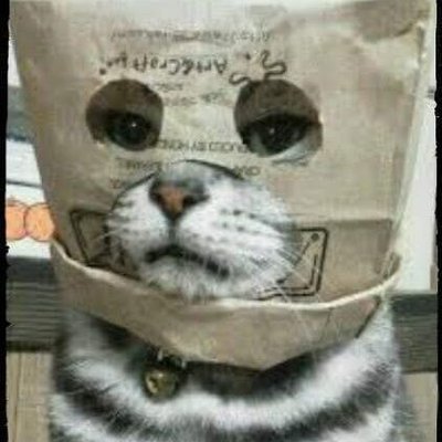 Profile Picture of Kevin Ferrin (@KevinFerrin8) on Twitter