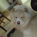 Profile Picture of Nicholas Valenti (@nvalenti74) on Instagram