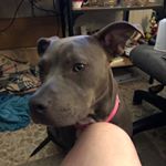 Tammy Jefferson - Instagram Profile Picture of Tammy Jefferson (@olemiss1230) on Instagram