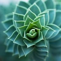 Profile Picture of Brian Dormio (@brian-dormio) on Quora