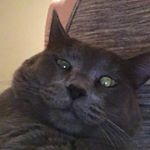 Profile Picture of Smerkel Richard Thurlow (@smerkel_thurlow) on Instagram