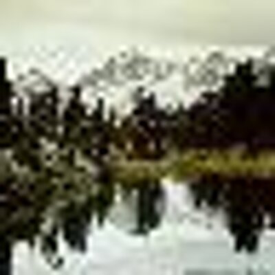 Profile Picture of Tommy Seals (@tommy779900) on Twitter