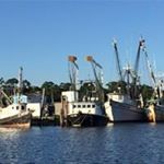 Profile Picture of Pete Horton (@beachbumpete213) on Instagram