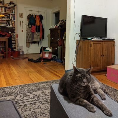 Profile Picture of Eric Rommel (@EricRommel2) on Twitter