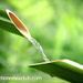 Profile Picture of PETER Vellara (@petervellara) on Pinterest
