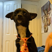 Profile Picture of Daniel Burgos (@danielburgos4014) on Youtube