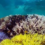 Profile Picture of Adam Zima (@zim_ster) on Instagram