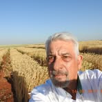 Profile Picture of Luiz Alberto Cogrossi Campos (@luizalberto.cogrossicampos.3) on Facebook