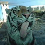 Profile Picture of Eric Brumfield (@ericbrumfield) on Instagram