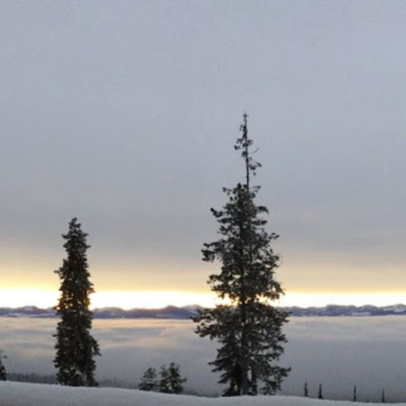 Profile Picture of Ben Mcconochie (@bmcco_) on Poshmark