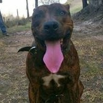 Luis Eduardo Lizarazo - Instagram Profile Picture of Luis Eduardo Lizarazo (@luis.lizarazo) on Instagram