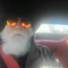 Profile Picture of Randy Corvette (@@paganharley57) on Tiktok