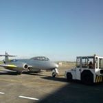 Profile Picture of Timothy Distinctly Minty Monty (@timothymintymonty) on Instagram