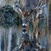 Profile Picture of Randall Beasley (@randall.beasley.3139) on Facebook