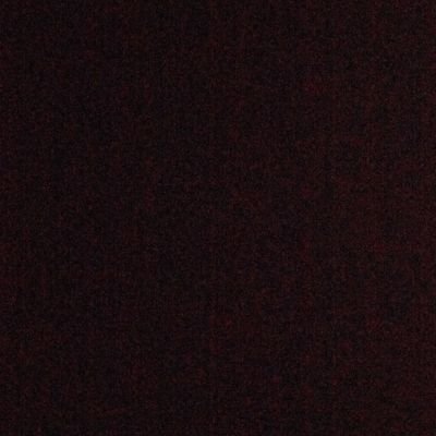Profile Picture of Timothy Ackermann (@Tim_Ack04) on Twitter