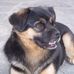 Profile Picture of Giuseppe Catroppa (@giuseppe.catroppa) on Facebook