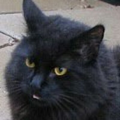 Profile Picture of John Pipe (@pipejohn) on Twitter
