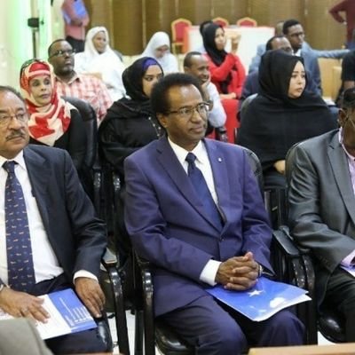 Profile Picture of Prof Hussein Warsame (@ProfHusseinWar) on Twitter