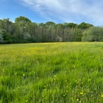 Profile Picture of Craig Pusey (@craig.pusey.94) on Facebook