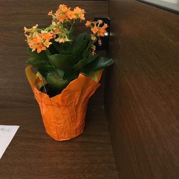 Profile Picture of Joe Cincotta (@joecincotta) on Poshmark