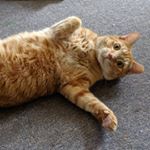 Profile Picture of Oliver Simon (@oliver.simon_b) on Instagram