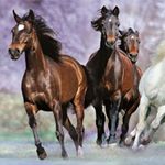 luis zubiate o - Instagram Profile Picture of luis zubiate o (@luis_zubiate) on Instagram