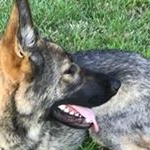 Profile Picture of Brian Fogerty (@brianfogerty) on Instagram