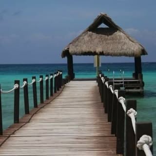 Profile Picture of Joanne Mallett (@joanne_mallett) on Instagram