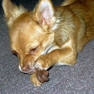 Profile Picture of Peter Franz Freisinger (JO SI) (@freipe) on Facebook