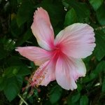 Profile Picture of Monica Martins (@monicamartins) on Instagram