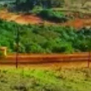 Profile Picture of dragon (@clintondavidson6) on Tiktok