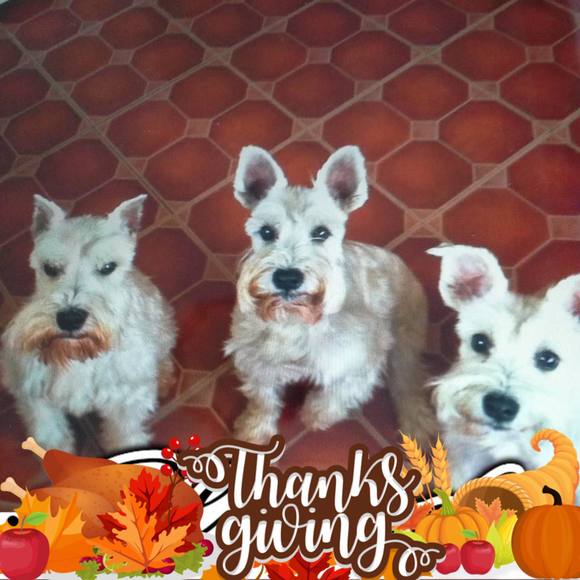 Ralph Tucker - Poshmark Profile Picture of Ralph Tucker (@rtdad) on Poshmark