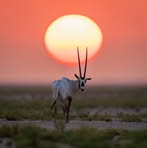 Profile Picture of Jan Durma (@Jan-Durma) on Facebook